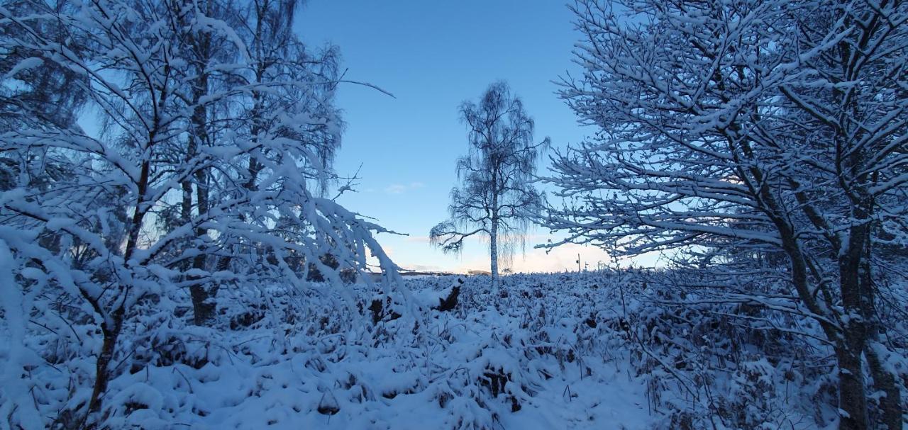 Torcroft Lodges Drumnadrochit Buitenkant foto