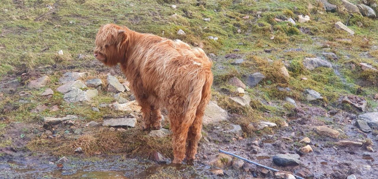 Torcroft Lodges Drumnadrochit Buitenkant foto
