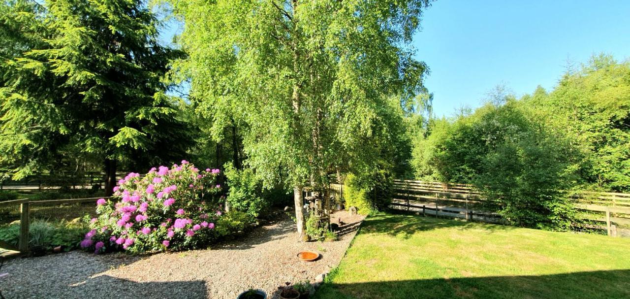 Torcroft Lodges Drumnadrochit Buitenkant foto