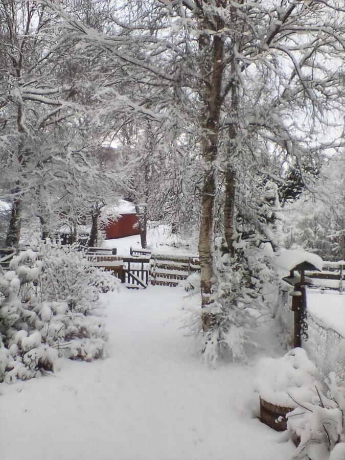 Torcroft Lodges Drumnadrochit Buitenkant foto