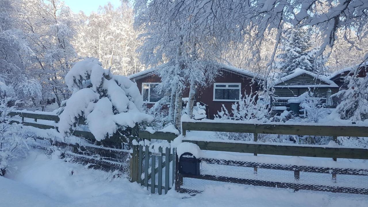 Torcroft Lodges Drumnadrochit Buitenkant foto