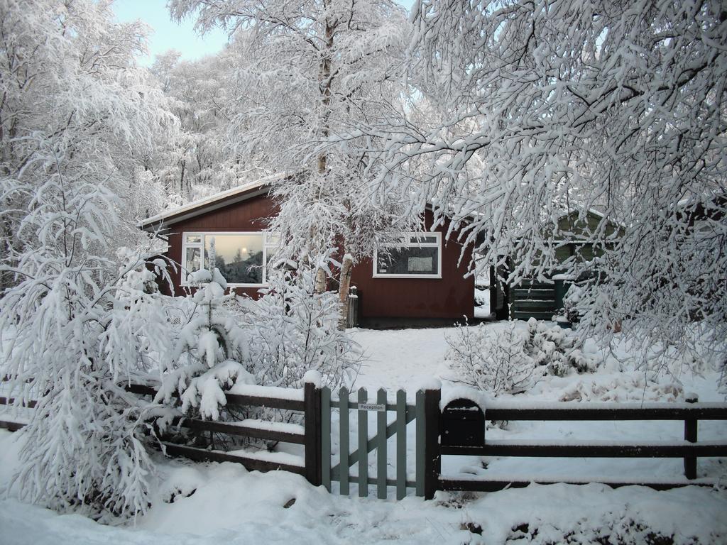 Torcroft Lodges Drumnadrochit Kamer foto